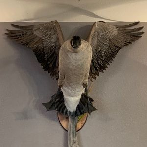 Meet your Posher, Danny